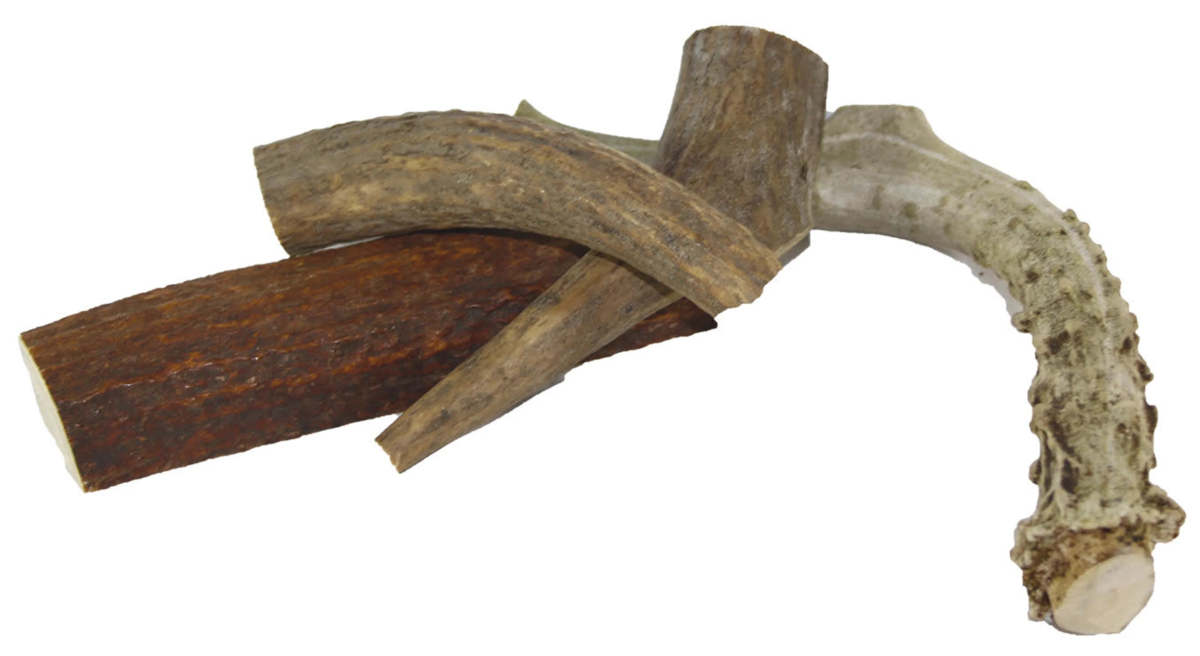 Discover the Benefits of Deer Antler Chews for Your Dog
